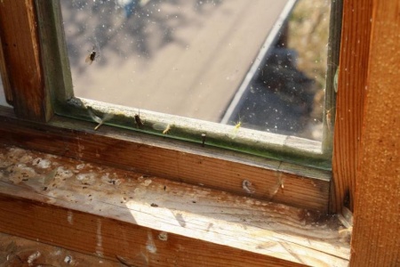 Les &eacute;tapes essentielles pour r&eacute;parer votre menuiserie &agrave; Saint-Quentin